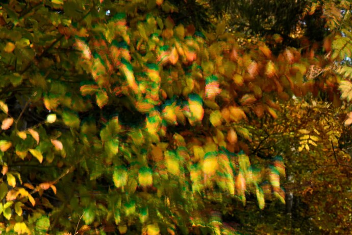 Nikon-Zf_Cervenohorske-Sedlo_pixel-shift_DPS4243_merged_100crop