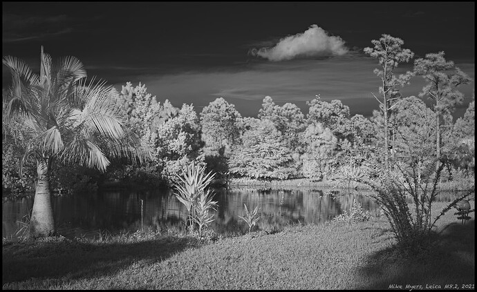 _L1000252  2021-12-06_05
