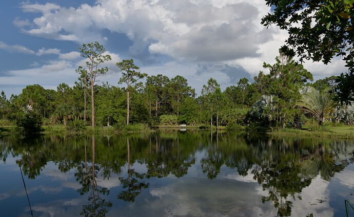 780_1313  2023-06-09_DxO