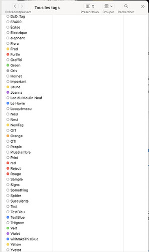 Capture d’écran 2026-02-20 à 10.54.20