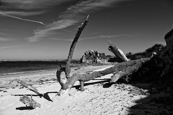 _JNA0026_2_DxO