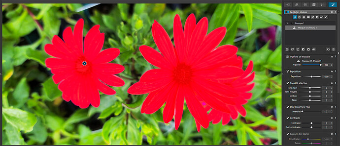 Flower_Mask_01