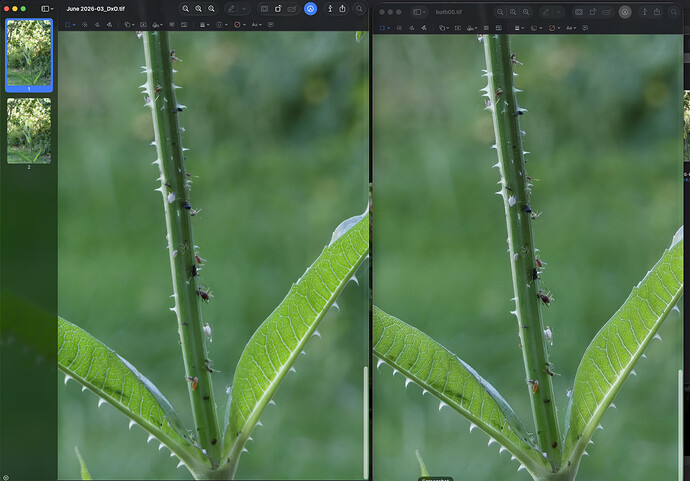 Screenshot 2026-09-15 at 11.59.59