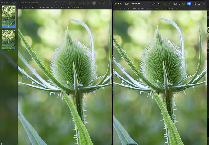 Screenshot 2026-09-15 at 12.00.53