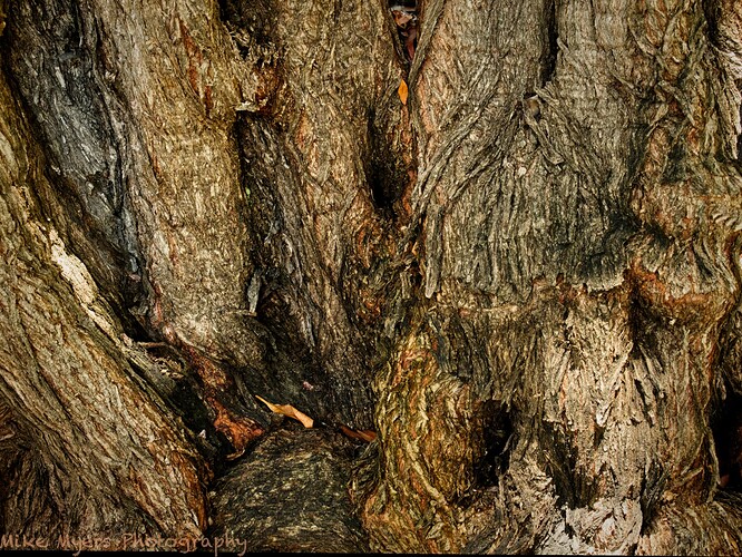 DF1_3215  2023-06-29_DxO