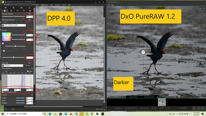 DPP - darker