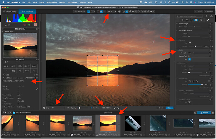 Step 5 - Crop only
