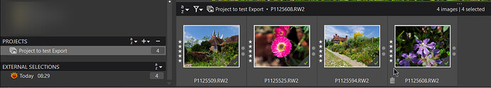 2025-03-27_090945_Project selected for Export