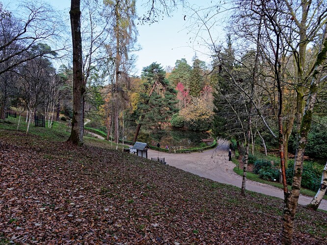 P1138044_PL7-10R_1