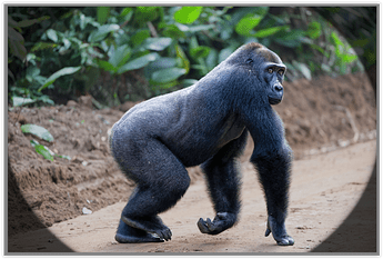 Screen Shot 03-03-26 at 03.42 PM