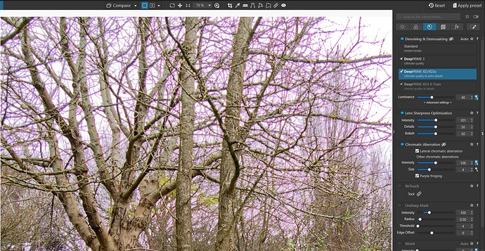 2025-09-03_084608_PL9 @ 75%