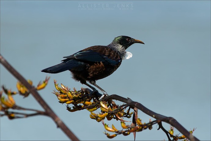 CleanShot 2025-11-02 at 13.51.20@2x