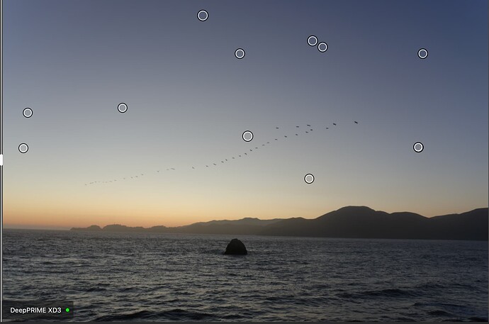 Screenshot 2026-03-03 at 10.33.17 AM