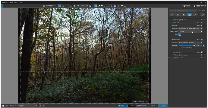 Screen Shot 04-16-26 at 11.41 AM.PNG