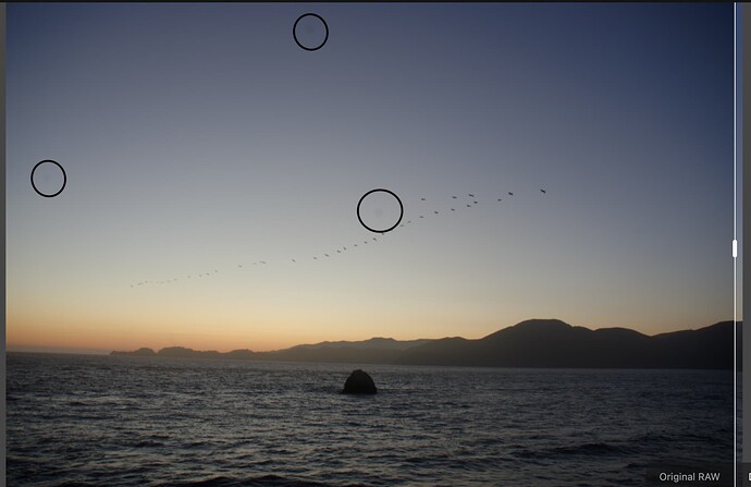 Screenshot 2026-03-03 at 10.33.09 AM