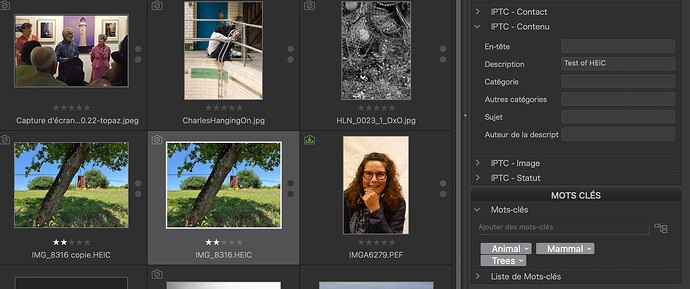 Capture d’écran 2025-10-30 à 11.53.02
