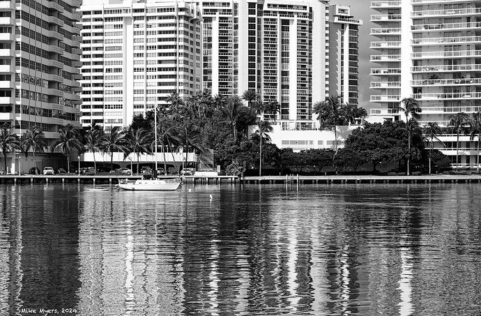 D3M_4368  2024-08-30