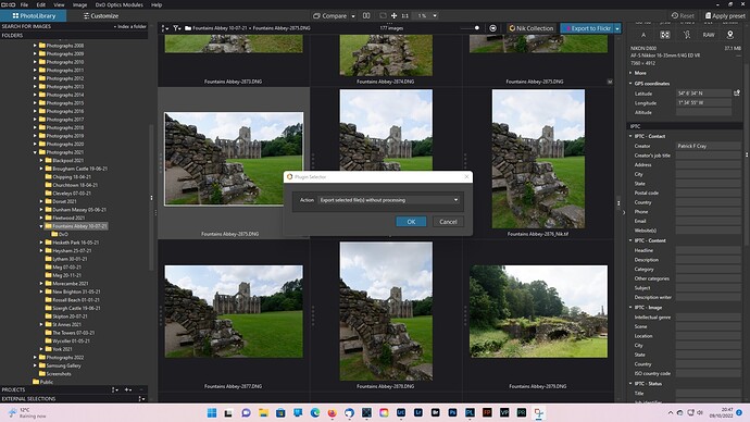 Nik Collection PL Plugin Export Seelected File(9) Without Processing 09.10.22
