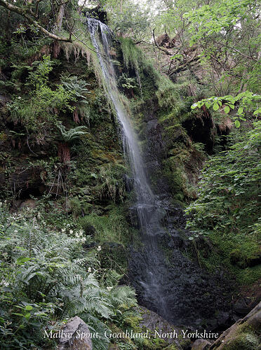 Mallyan Spout-1