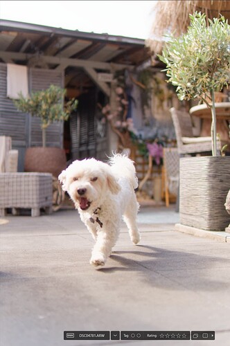 2025-07-05_103309_WG