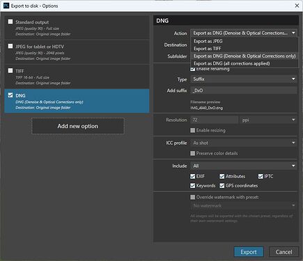 pl9.5_exportDialogDNGoptions