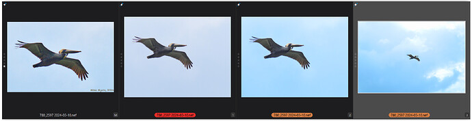 Screen Shot 03-20-24 at 04.18 PM.PNG