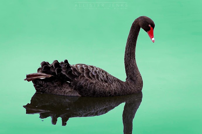 3f6426638217b2e7744c1ba865c88b397860690f_2_1380x916_DxO