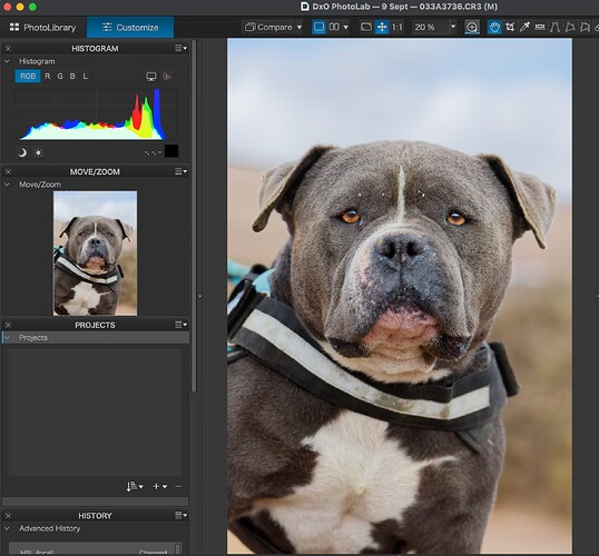 Screenshot 2025-10-07 at 09.01.09