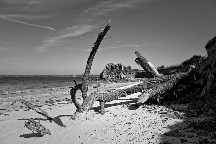 _JNA0026_1_DxO_wo_1