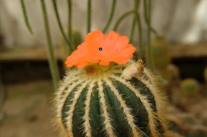 Screenshot 2025-11-14 at 12.06.45 PM