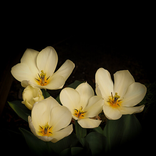 20250401-P4010003-Edit