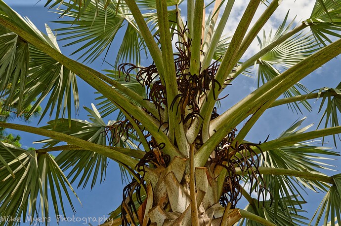 780_1351  2023-06-12_1_DxO