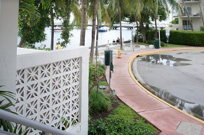 D3M_4073  2024-07-15