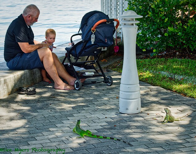 DF1_3280 2023-07-04_DxO