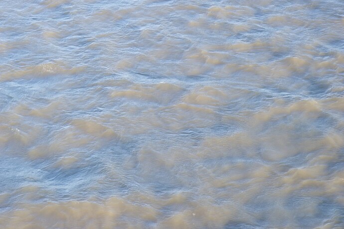 DSC_8292