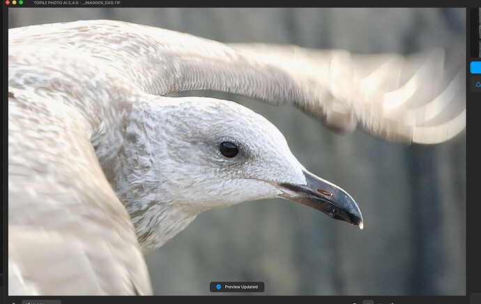 Capture d’écran 2024-03-12 à 12.03.57