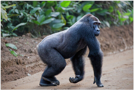 Screen Shot 03-03-26 at 03.59 PM.PNG