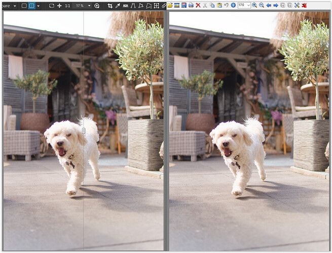 Screen Shot 06-26-25 at 10.59 AM.PNG