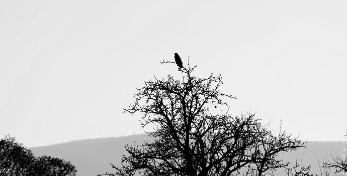 d8afb77fd20553d46453c0c96435c84e6d4745ab_DxO