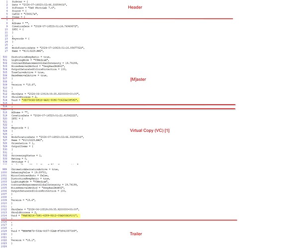 2024-07-17_103557_Layout of DOP with 2 copies, M and 1