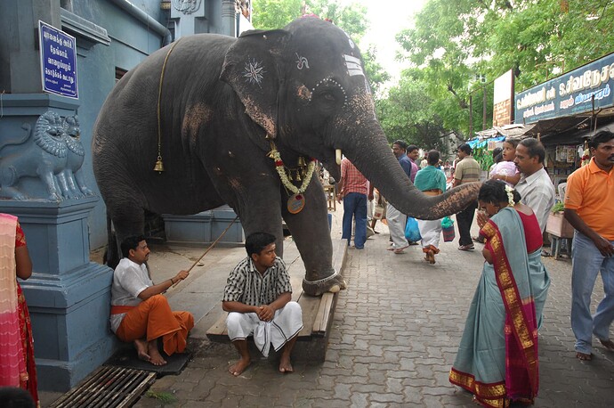 puducherry2008_264