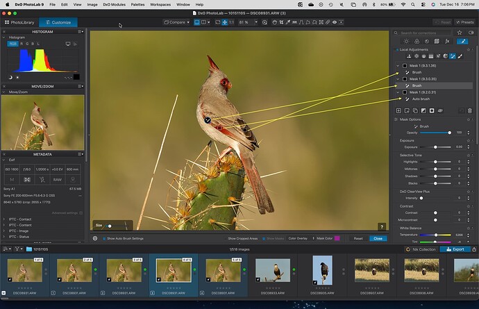Screenshot of PL9.2.0.31