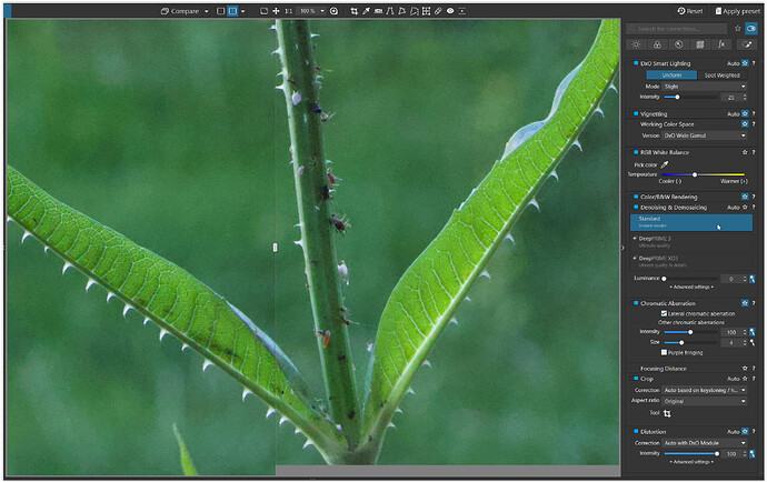 Screen Shot 09-16-26 at 10.06 AM.PNG