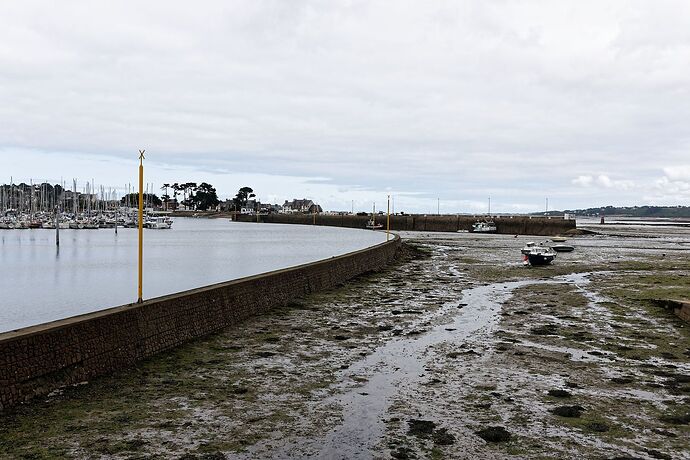 43734354765_8dba043832_o