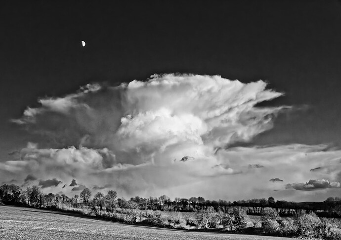 JNA_0007_1_DxO