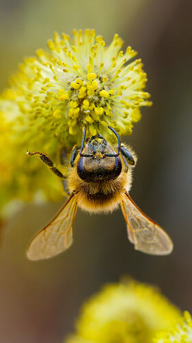 A6700437_DxO-1