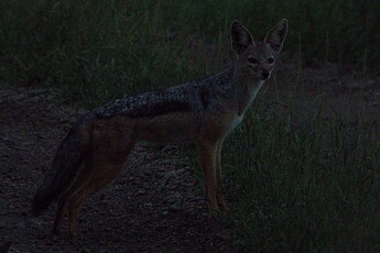 DSC06380_O