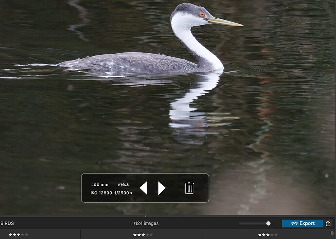 Screenshot 2026-01-07 at 1.28.40 PM