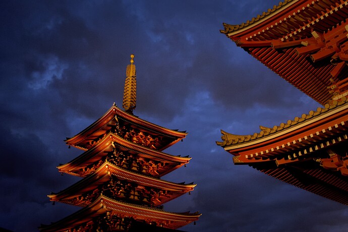 XT4A2725_Tokyo2025_DxO