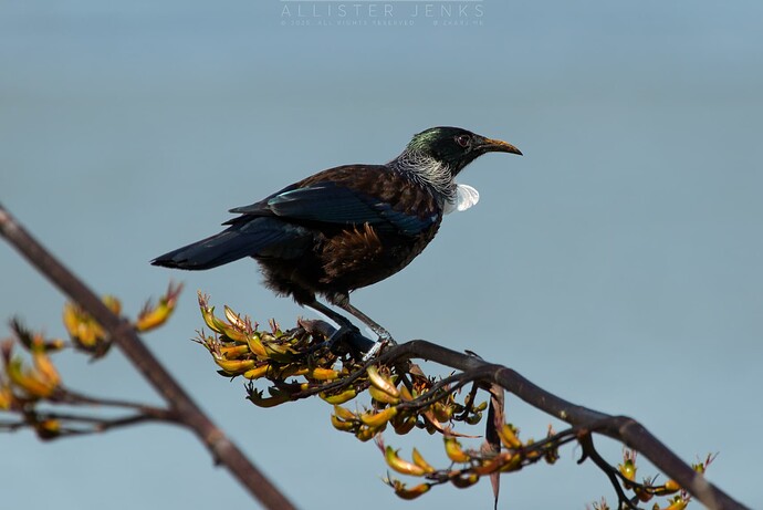 CleanShot 2025-11-02 at 13.52.28@2x